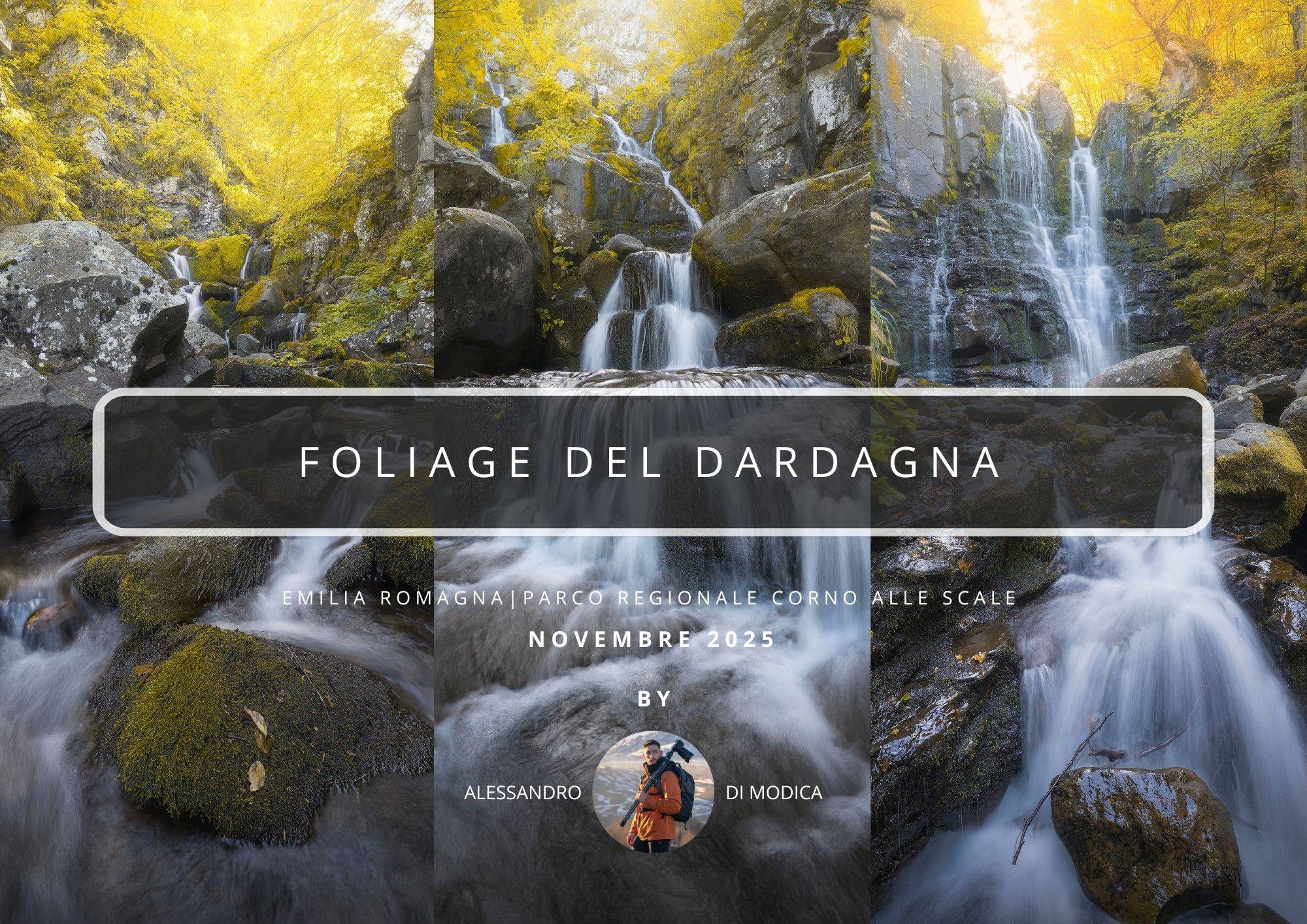 DARDAGNA FOLIAGE WORKSHOP NOVEMBER 2025